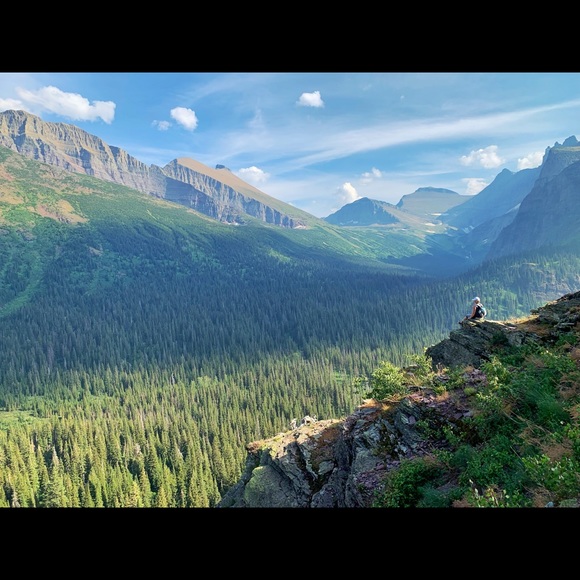 Meet your Posher, Allie - Picture 8 of 9